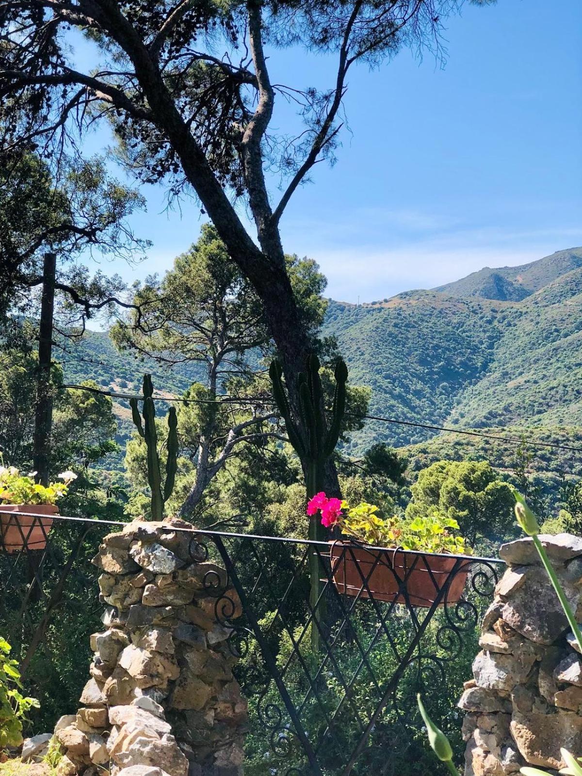 Aragonite Azzurra Casa Vacanza Гоннеза Екстер'єр фото